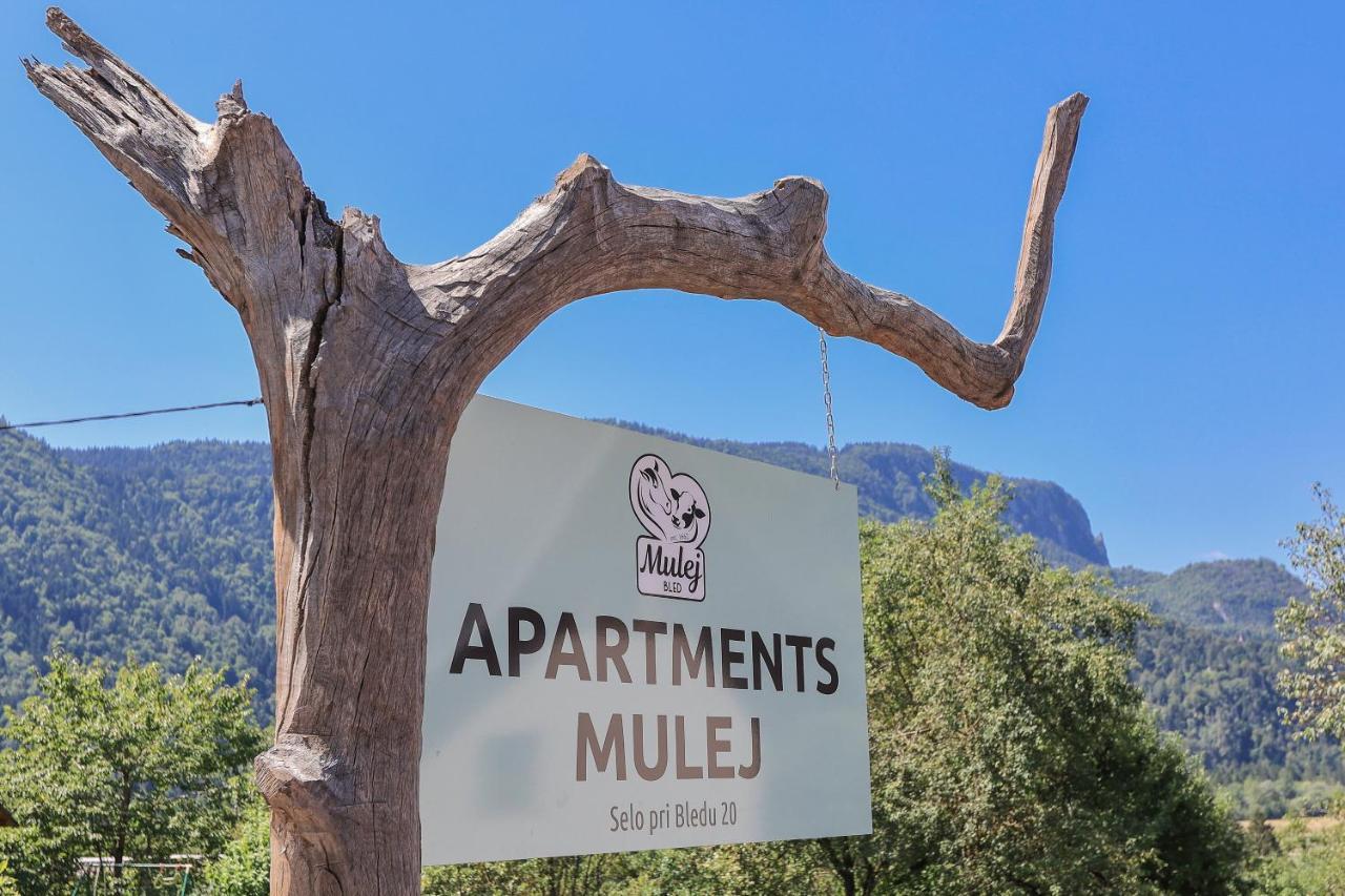 Apartments Mulej Bled Dış mekan fotoğraf